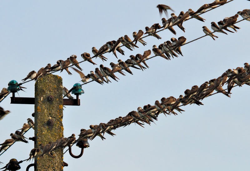 Die Gruppe in Santarcangelo di Romagna.